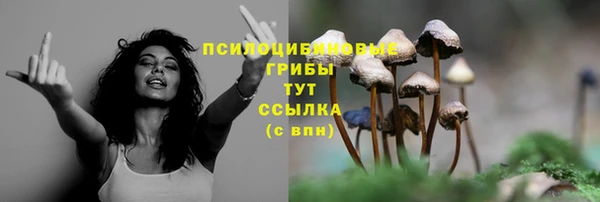 твердый Сясьстрой