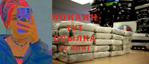 твердый Сясьстрой