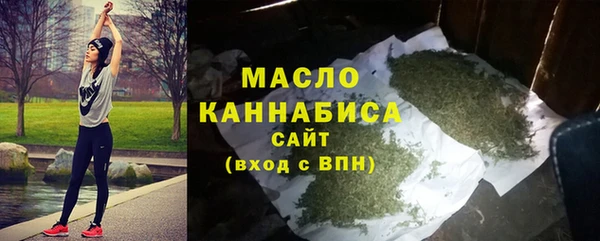 твердый Сясьстрой
