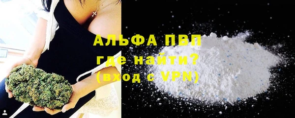 твердый Сясьстрой