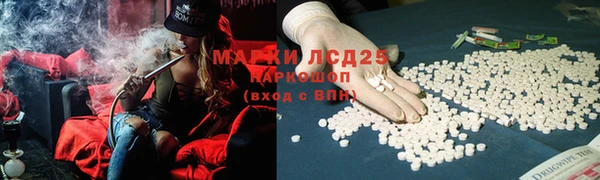 твердый Сясьстрой